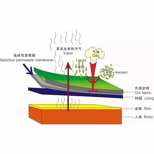 應用案例7